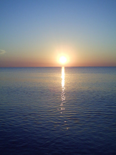 Photo 562383